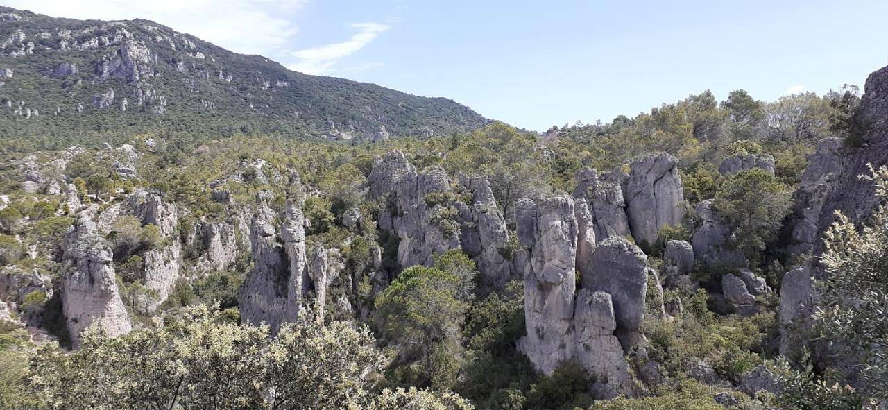 Appartement entier, Grand Studio Entre Lac Et Garrigue in Clermont-l'Hérault, Région de Lodève