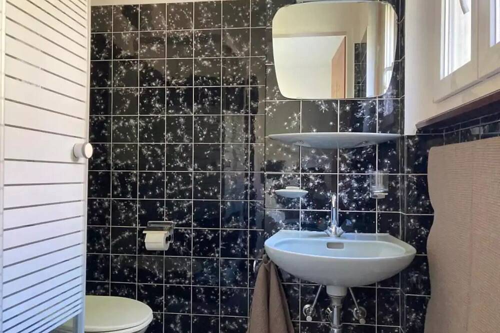 Ganze Wohnung, Unterkunft Unter Palmen in Monteggio, Ticino
