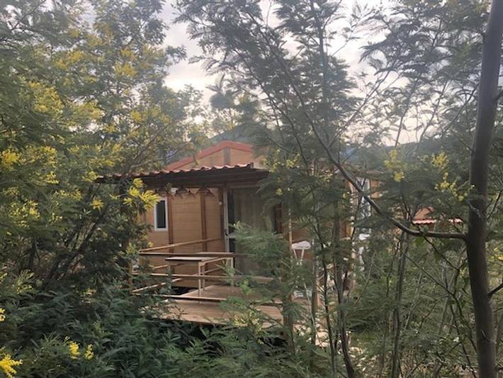 Mobil home pour 6 personnes à Galéria - 2