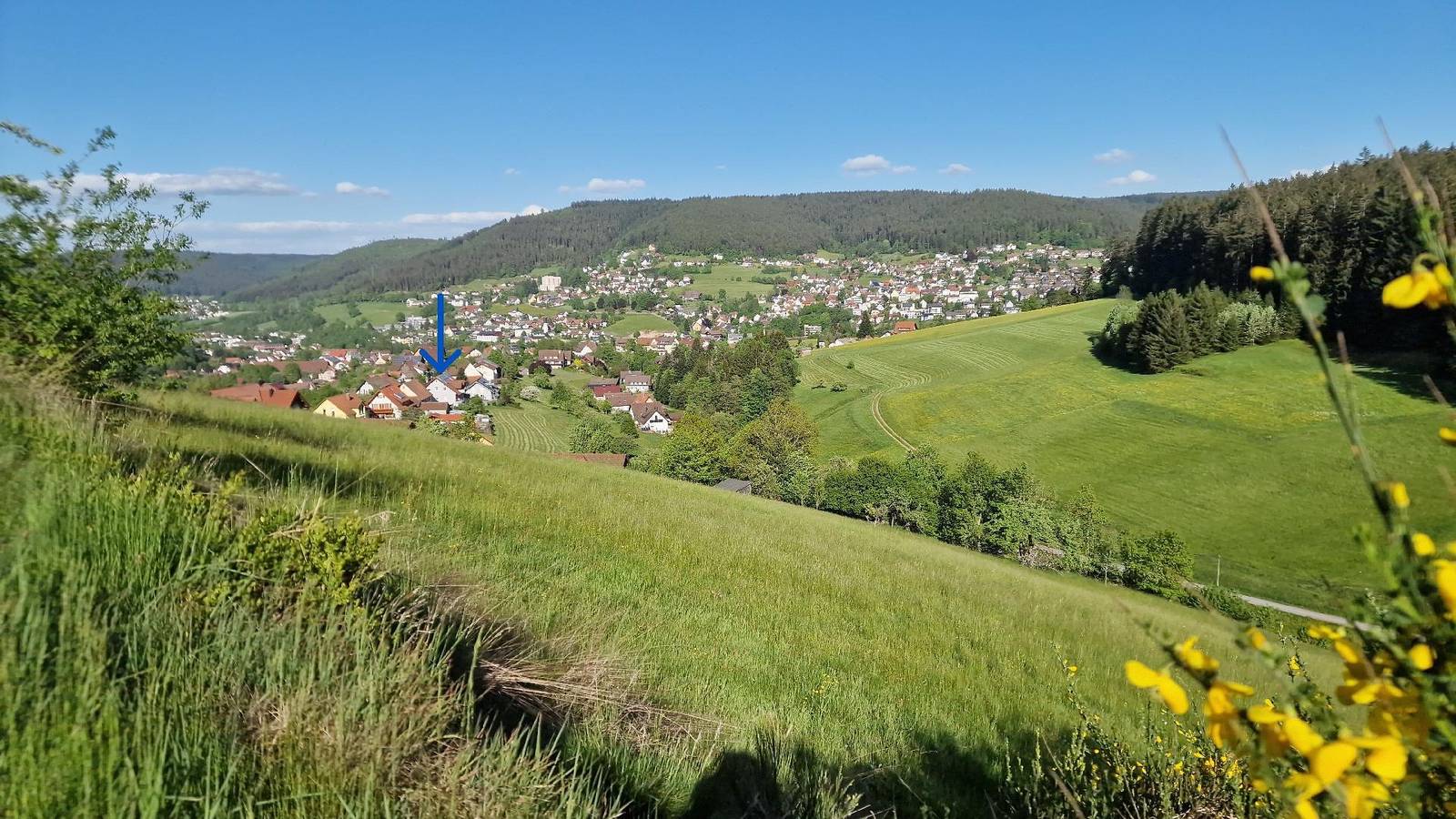 Ferienwohnung für 4 Personen in Baiersbronn, Mittlerer Schwarzwald
