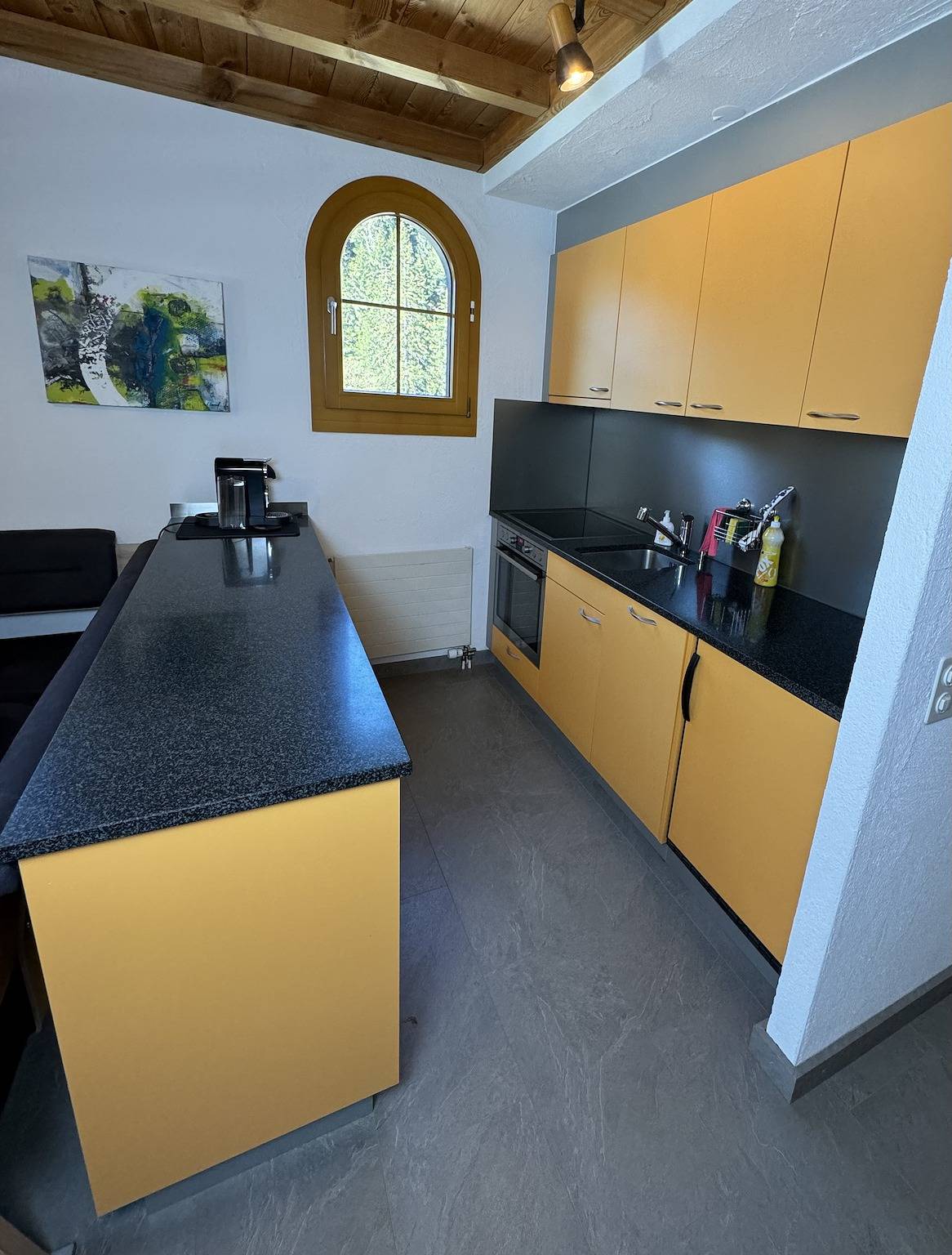 Ganze Ferienwohnung, Alpenbijou "Casa Biala" - 3.5 Zimmerwohnung in Laax Uletsch, Laax