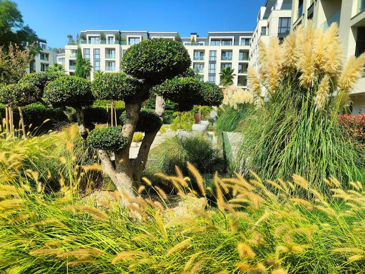 Ferieleilighet for 3 personer, med hage, dyr tillatt i Varna