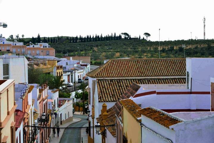 Apartamento para 8 personas, con Balcón y Jacuzzi además de Terraza y Vistas en Mairena del Alcor