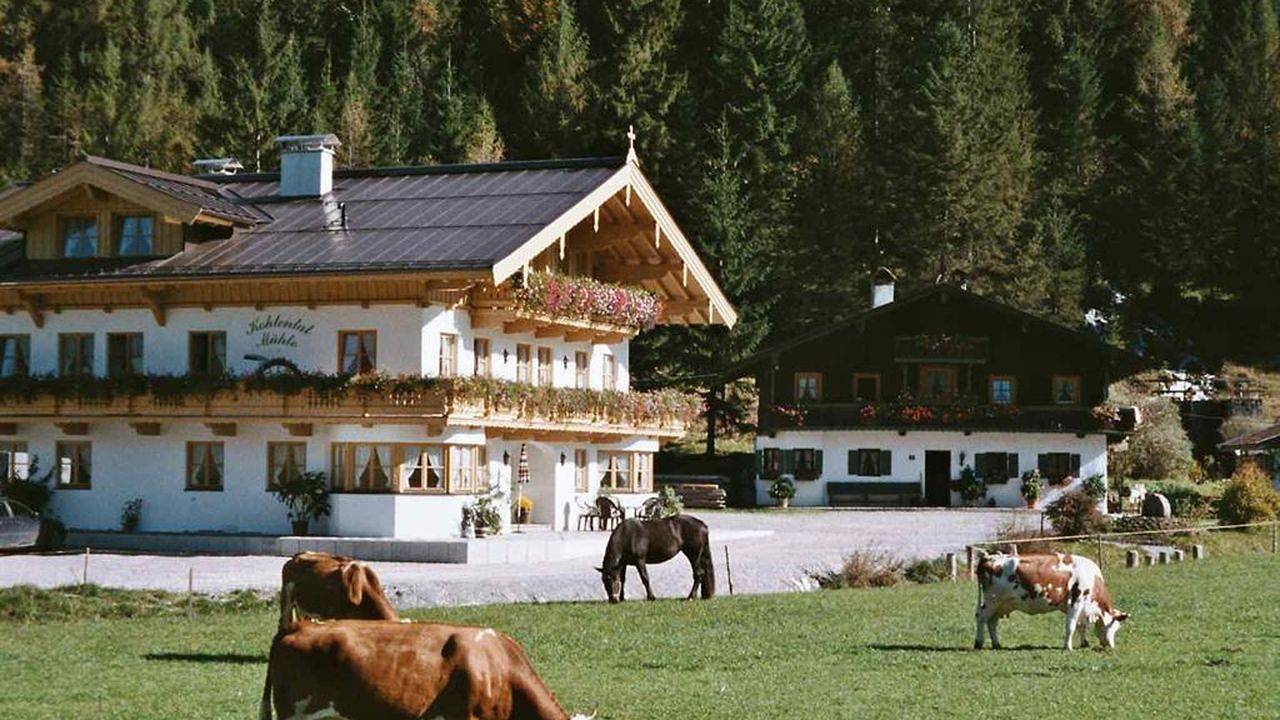 Ganze Ferienwohnung, Ferienwohnung für 4 Personen (55 m²) in Schwendt in Schwendt, Kaisergebirge