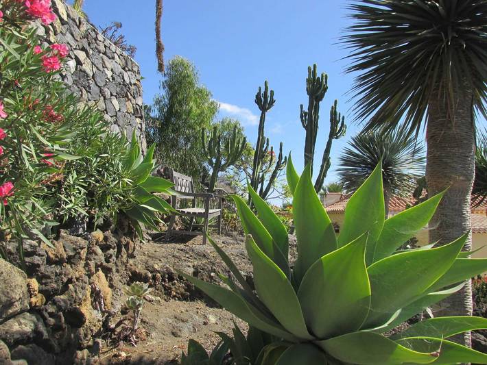 Ferienhaus für 3 Personen, mit Terrasse und Garten, mit Haustier auf La Palma - 3