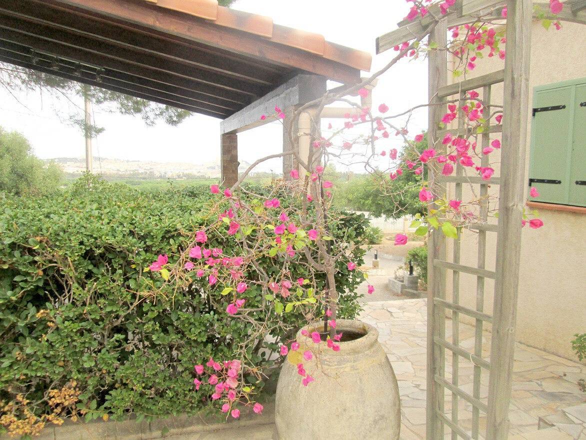 Appartement entier, T2 Pietramaggiore in Calvi, Région de Calvi