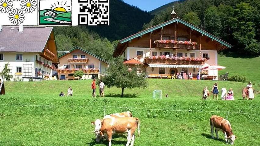 Ferienwohnung für 6 Personen, mit Balkon und Sauna sowie Garten in Faistenau