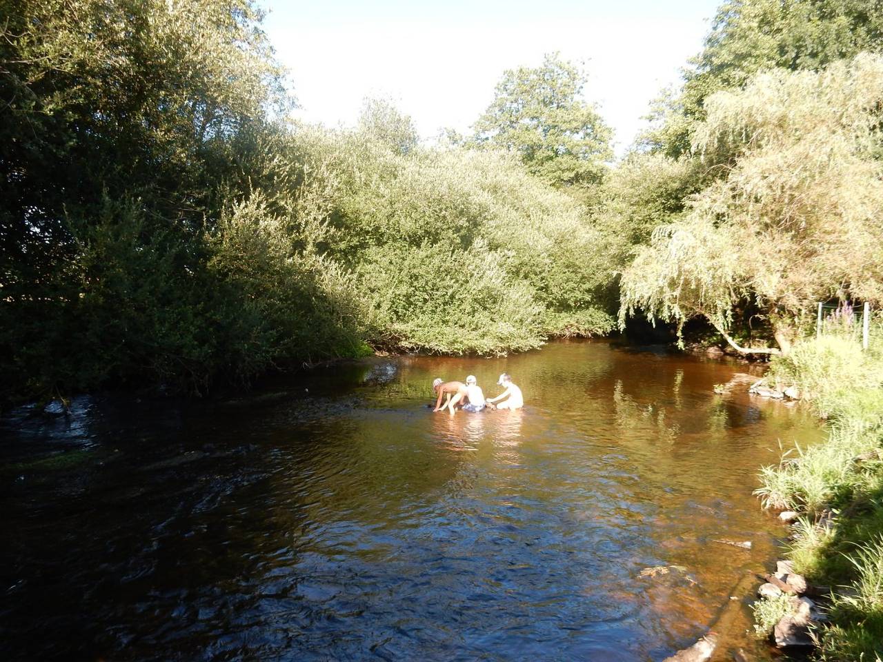 Gîte "Les Pieds dans l'Eau" - Grande capacité (15 personnes) in Le Grand-Bourg, Région de Guéret