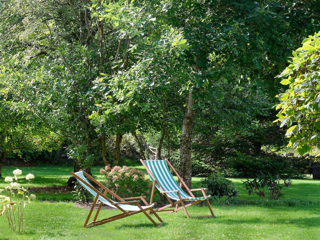 Charmantes Waldhaus mit großem Garten in Montbard und Umgebung