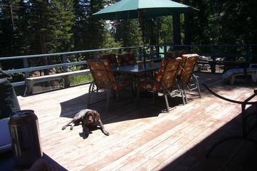 Log Cabin for 9 Guests in Lake Almanor, Plumas County, Picture 1