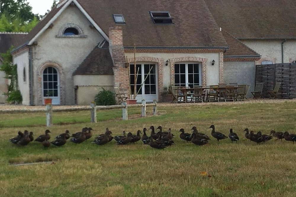 Photo : Maison de vacances