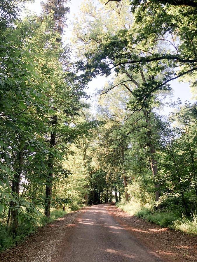 Gîte pour 6 personnes, avec piscine et terrasse ainsi que jardin et vue à Entrains-sur-Nohain - 4