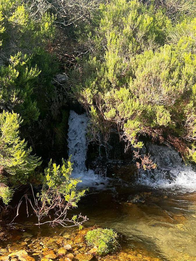 Casa rural para 8 personas, con vistas y terraza, Se admiten mascotas en Sanabria (Zamora) - 3