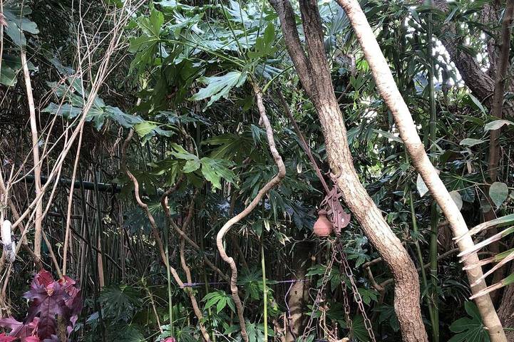 Location de vacances pour 2 personnes à L'Île-d'Olonne - 2