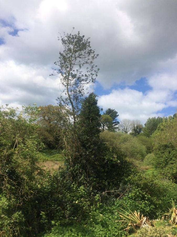 Willow Valley in Cornwall