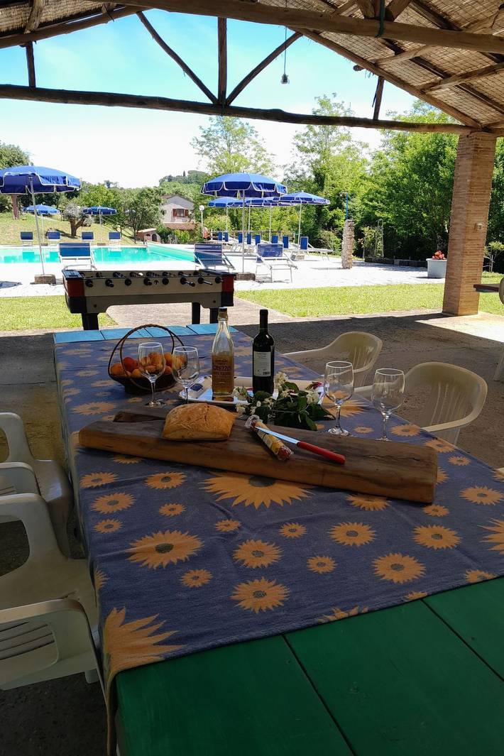 Agriturismo per 6 persone, con giardino e piscina a Fauglia