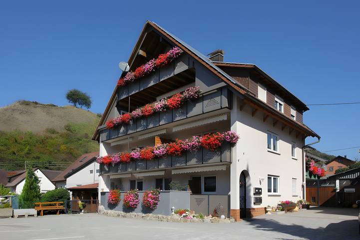 Apartamento entero, Apartamento D con vistas a la montaña, balcón y wifi in Vogtsburg - Schelingen, Vogtsburg