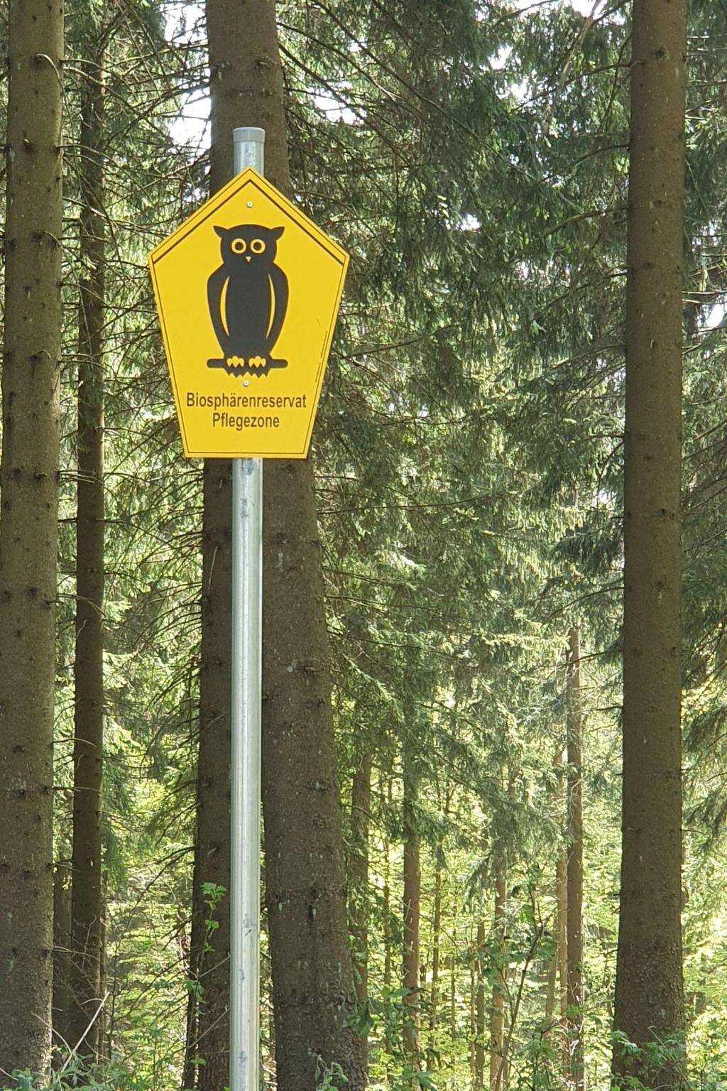 Beerberg in Goldlauter - Heidersbach, Suhl