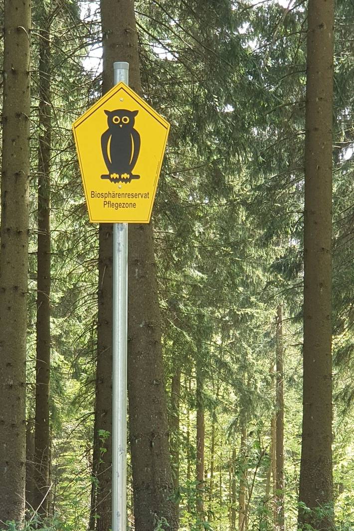 Beerberg in Goldlauter - Heidersbach, Suhl