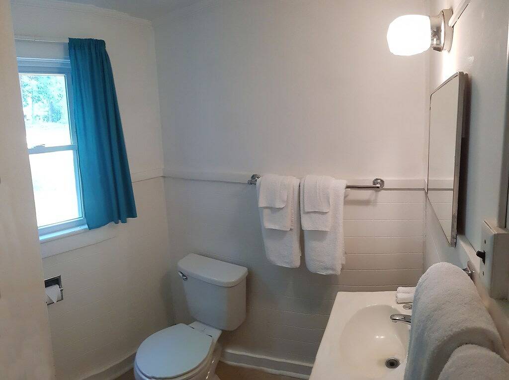 Family Chalet with fireplace under Pine trees in Adirondack Mountains