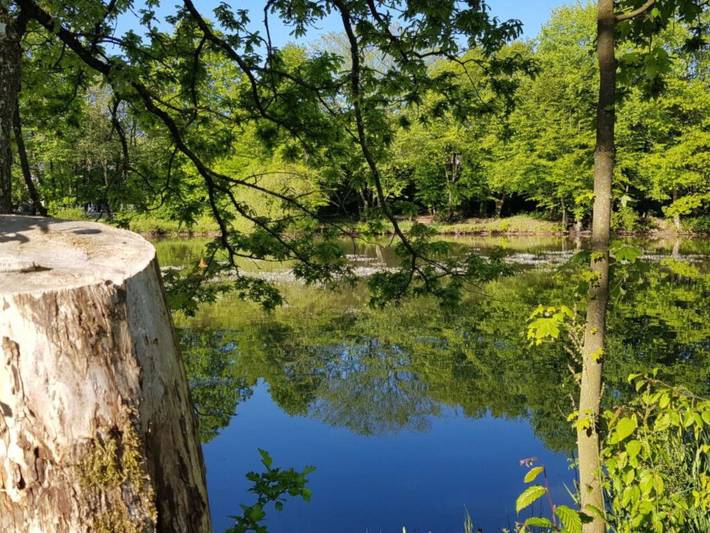 Ferienhaus für 4 Personen, mit Garten am Vogelsberg Region - 4
