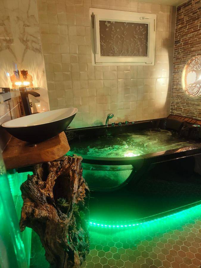 Le Néflier Dijon - appart balnéo - Spa romantique pour 2 in Dijon, Région de Dijon