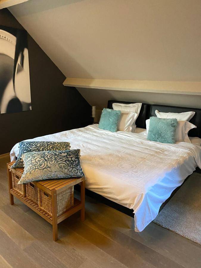 Appartement de vacances entier, Cosy Studio met Zwembad in Beringen, Région de Hasselt