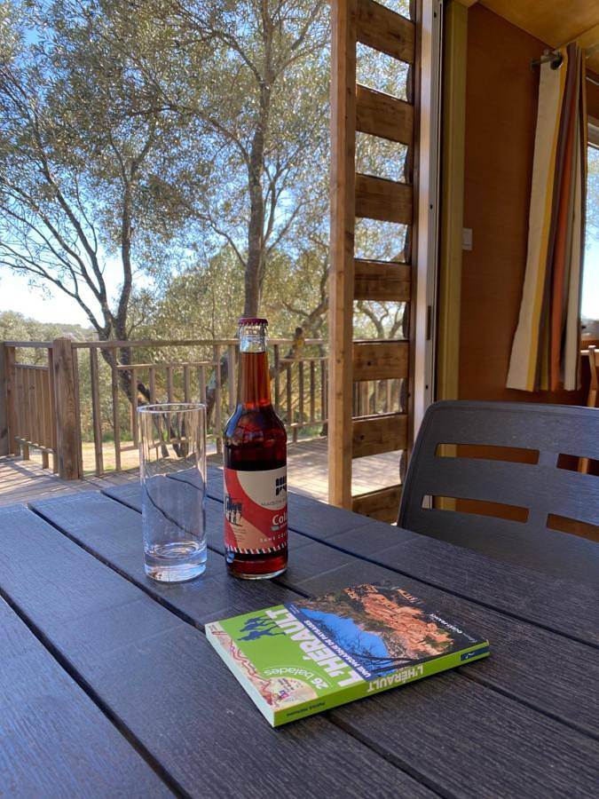 Location de vacances pour 2 personnes, avec terrasse et piscine, animaux acceptés à Castelnau-de-Guers - 3