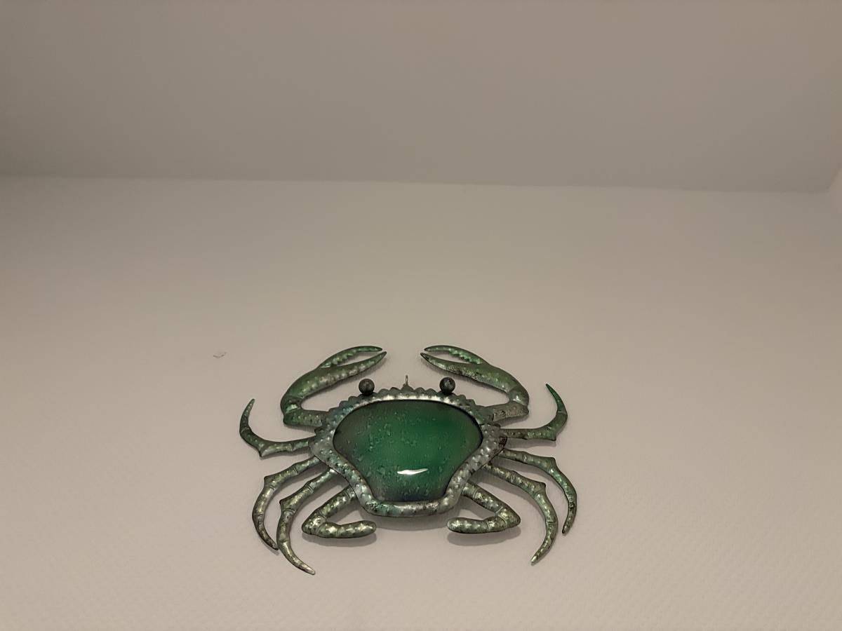 Ganze Wohnung, Berringer/Krabbe, am Strand in Warnemünde Strand, Rostock