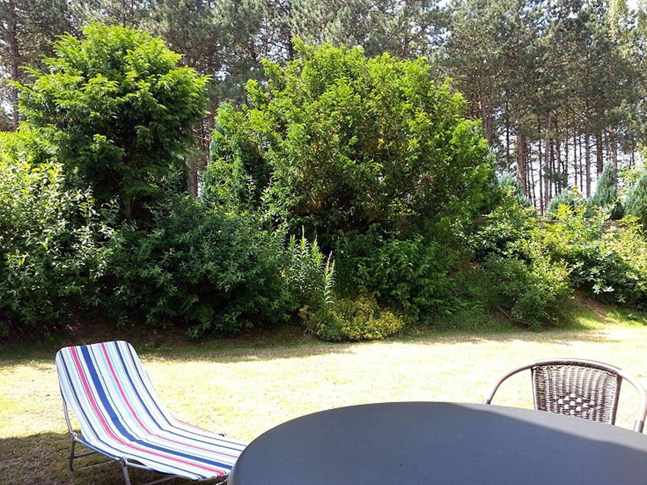 Haus lütt Witthues Whg 01 in St. Peter-Ording, Eiderstedt