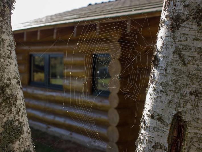 Gîte pour 4 personnes, avec terrasse et vue à Loubeyrat - 2
