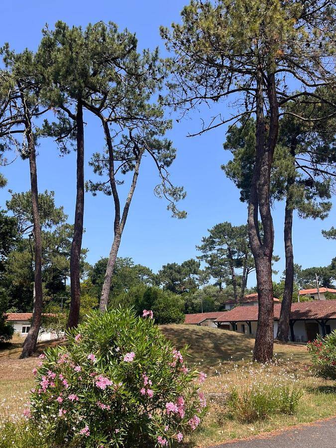 Appartement de vacances pour 2 personnes, avec Terrasse et Jardin ainsi que Piscine et Vue