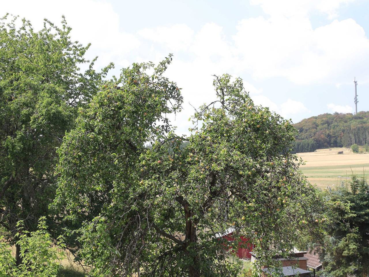 Bike and Hike Ferienhaus Kolverath in Kolverath, Vulkaneifel