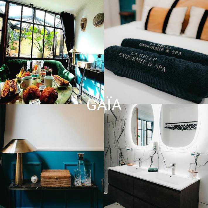 Chambre d’hôte pour 2 personnes, avec terrasse et jacuzzi à Bordeaux - 2