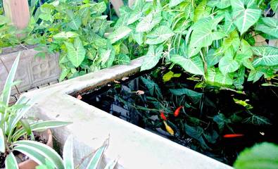 Apartment for 5 Guests in Houston, Harris County, Picture 2