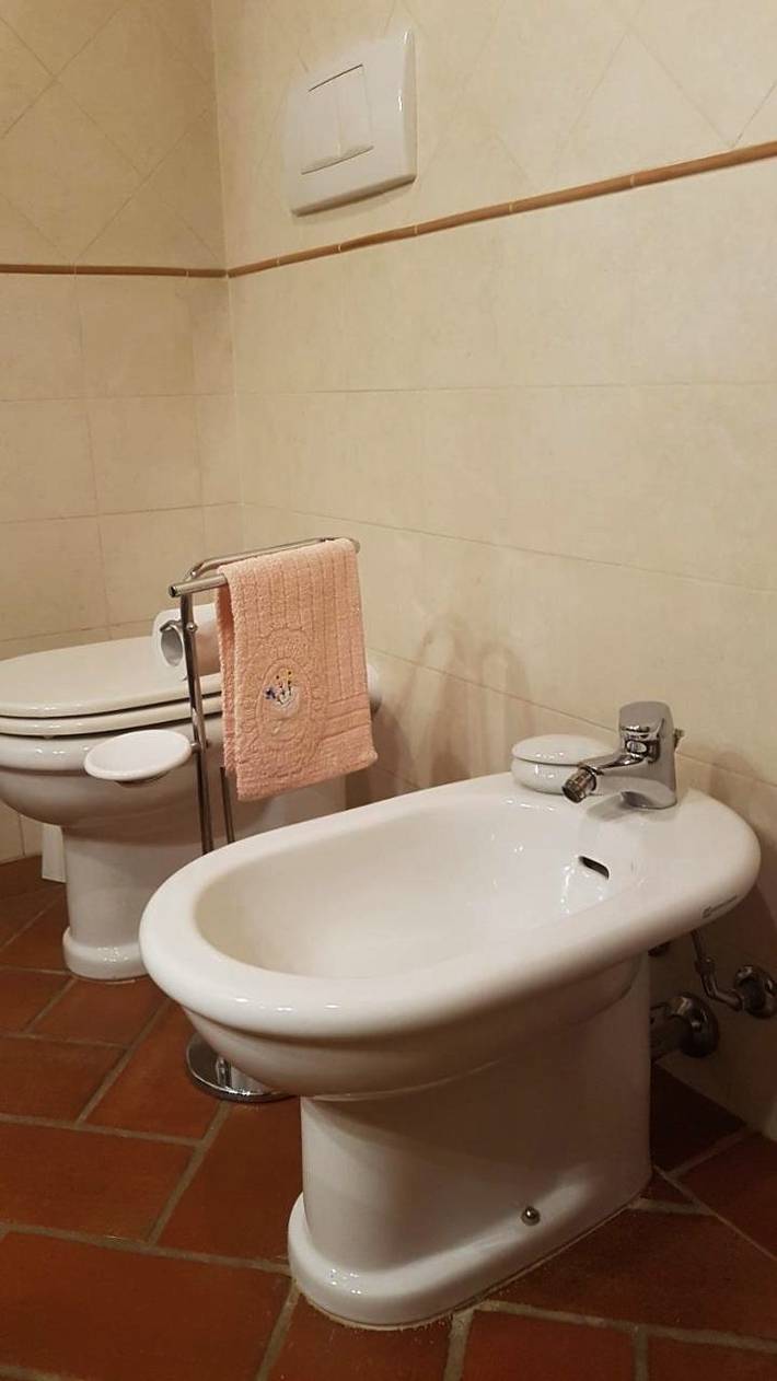 Maison d’hôte pour 4 personnes, avec vue et jardin, animaux acceptés à San Miniato - 4