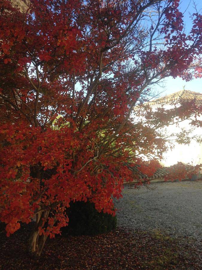 Location de vacances pour 2 personnes à Roquecor - 4