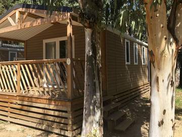 Chalet für 4 Personen in Calvi, Haute-Corse, Bild 1