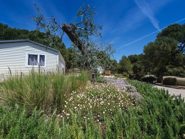 Wohnwagen für 5 Personen, mit Balkon/Terrasse und Pool, kinderfreundlich in La Móra - 2