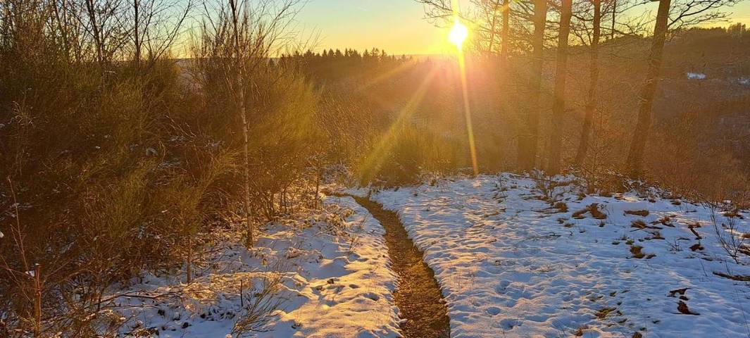 Chambre d’hôte pour 2 personnes, avec terrasse à Malmedy - 3