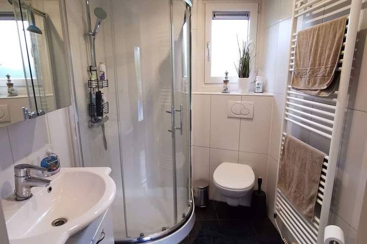 Ferienhaus für 4 Personen, mit Terrasse und Pool sowie Garten in Burgh-Haamstede - 3