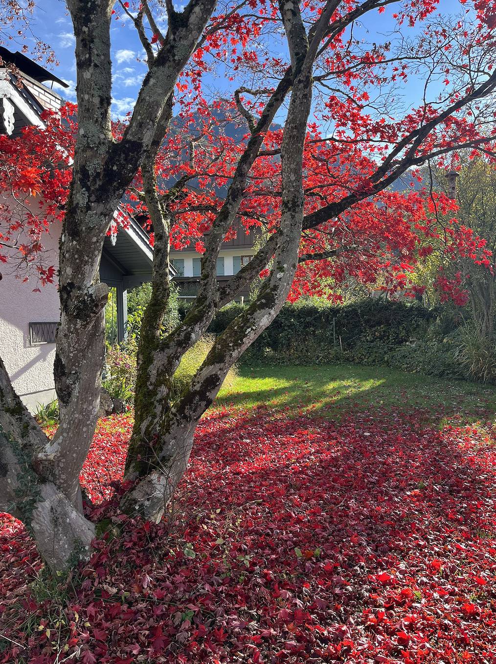 Ganze Ferienwohnung, Chiemgau One - Chiemgau One, Ferienhaus, 75qm, 1-6 Personen, 2 Schlafzimmer in Marquartstein, Bayerische Alpen