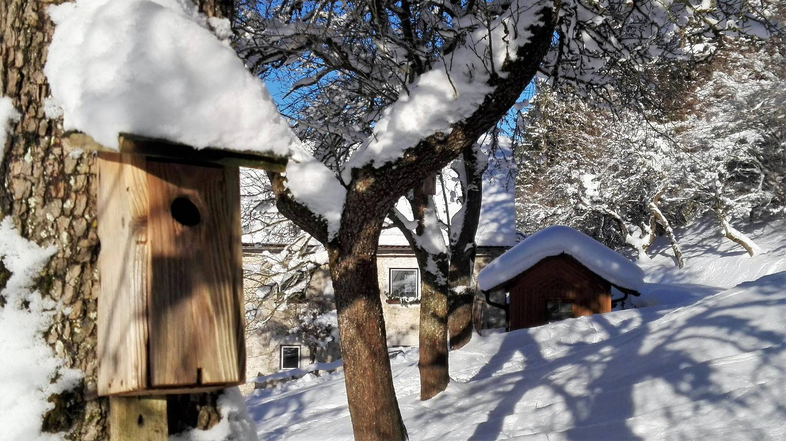 Ferienhaus für 6 Personen mit Terrasse in Sankt Pankraz, Totes Gebirge
