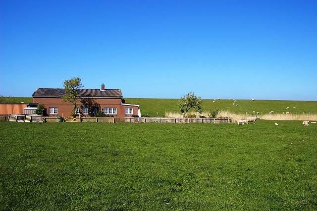 Ganze Ferienwohnung, Ferienwohnung Deichblick - Ferienwohnung Deichblick, 60qm, 1 Schlafzimmer, max. 2 Personen in Pellworm, Nordfriesland