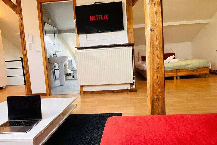 Entire apartment, Le petit Mulhouse 401, Le Dream in Mulhouse, Mulhouse region