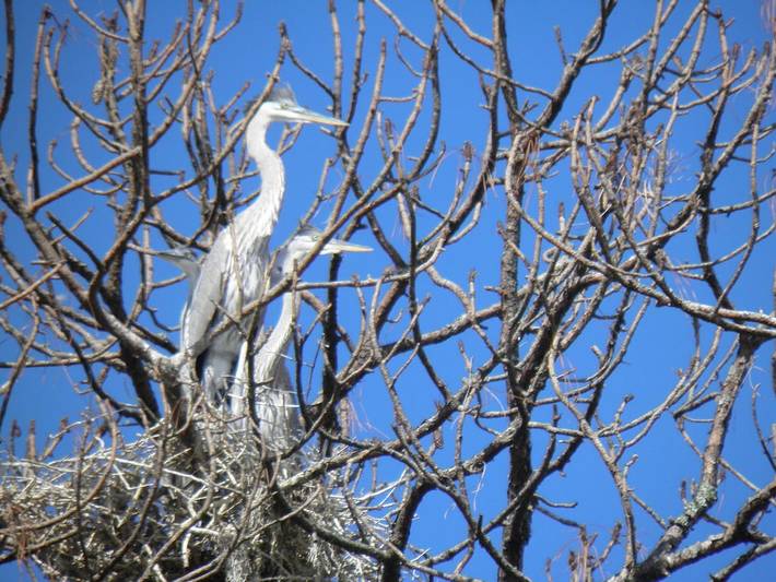 Vacation rental for 10 people, with yard and terrace in Palm Coast