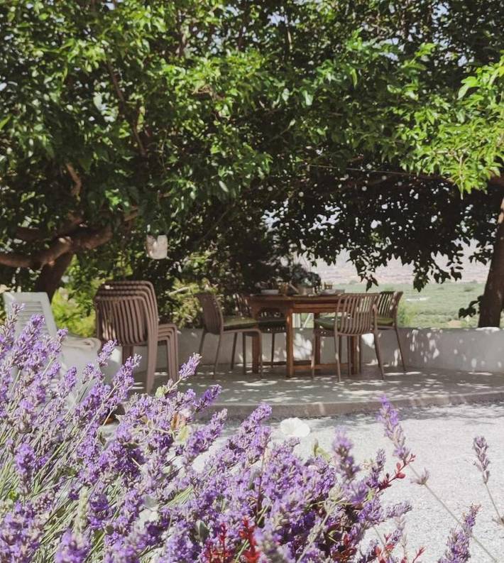 Chalet para 10 personas, con piscina y jardín, Se admiten mascotas en Comarca de Baza - 3