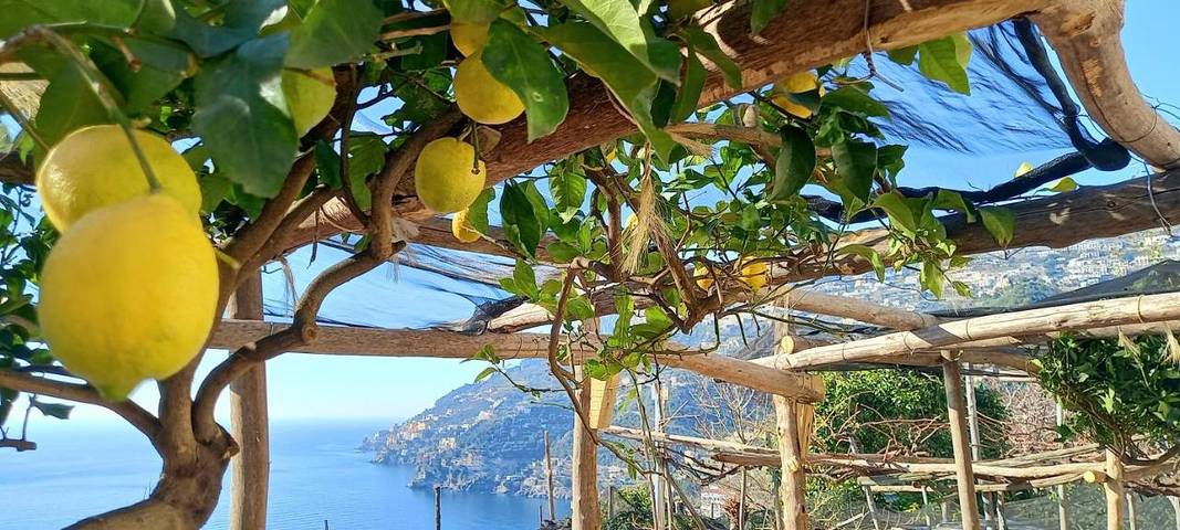 Casa vacanza per 2 persone, con Terrazza a Minori