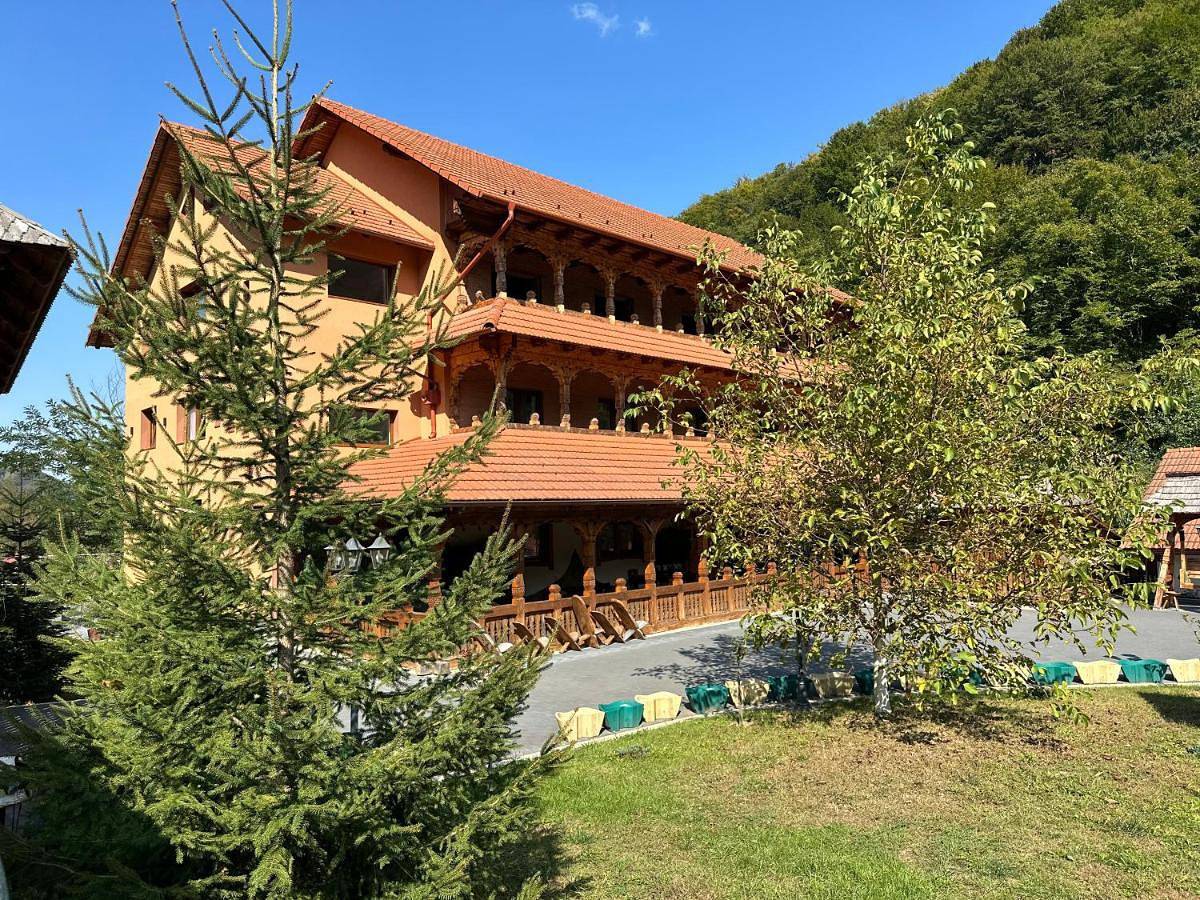 Pensiunea Casa Suciu in Carpates