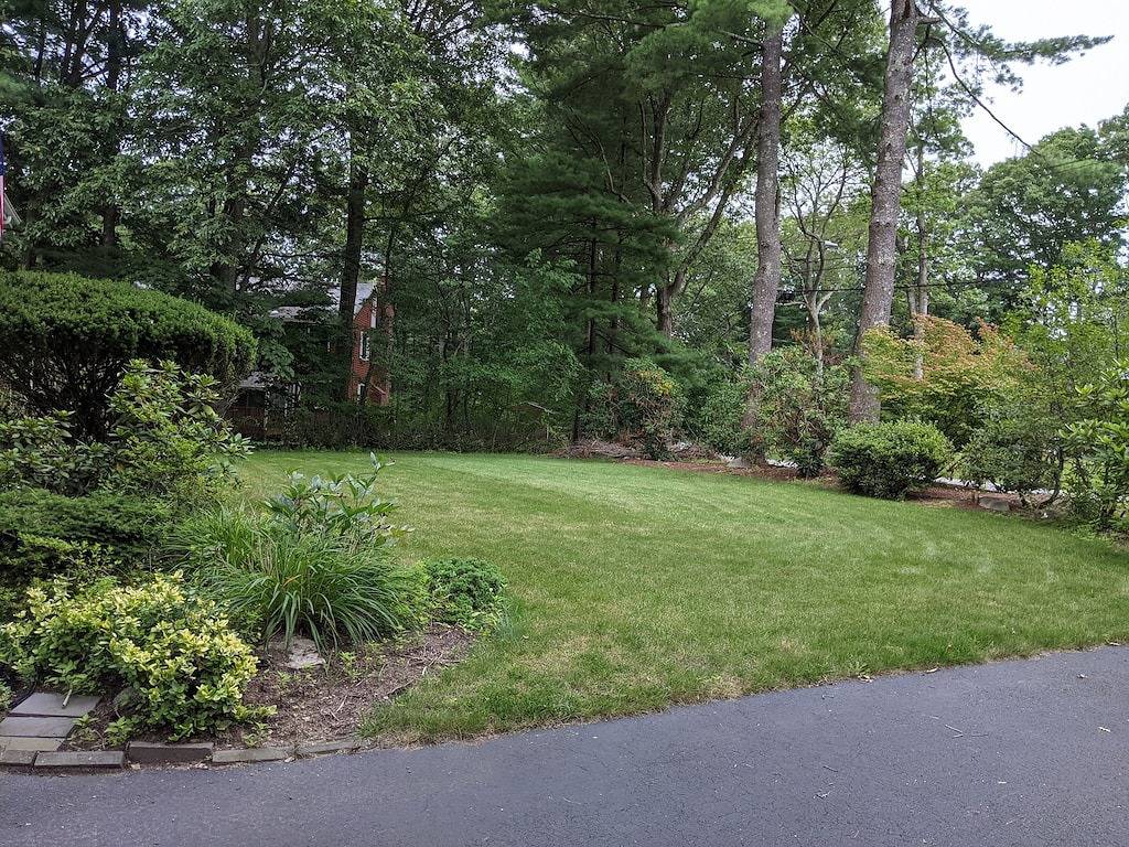 Ganze Wohnung, Spacious 1-bedroom apartment in Lexington Ma, surrounded by nature trails in Lexington (MA), Massachusetts